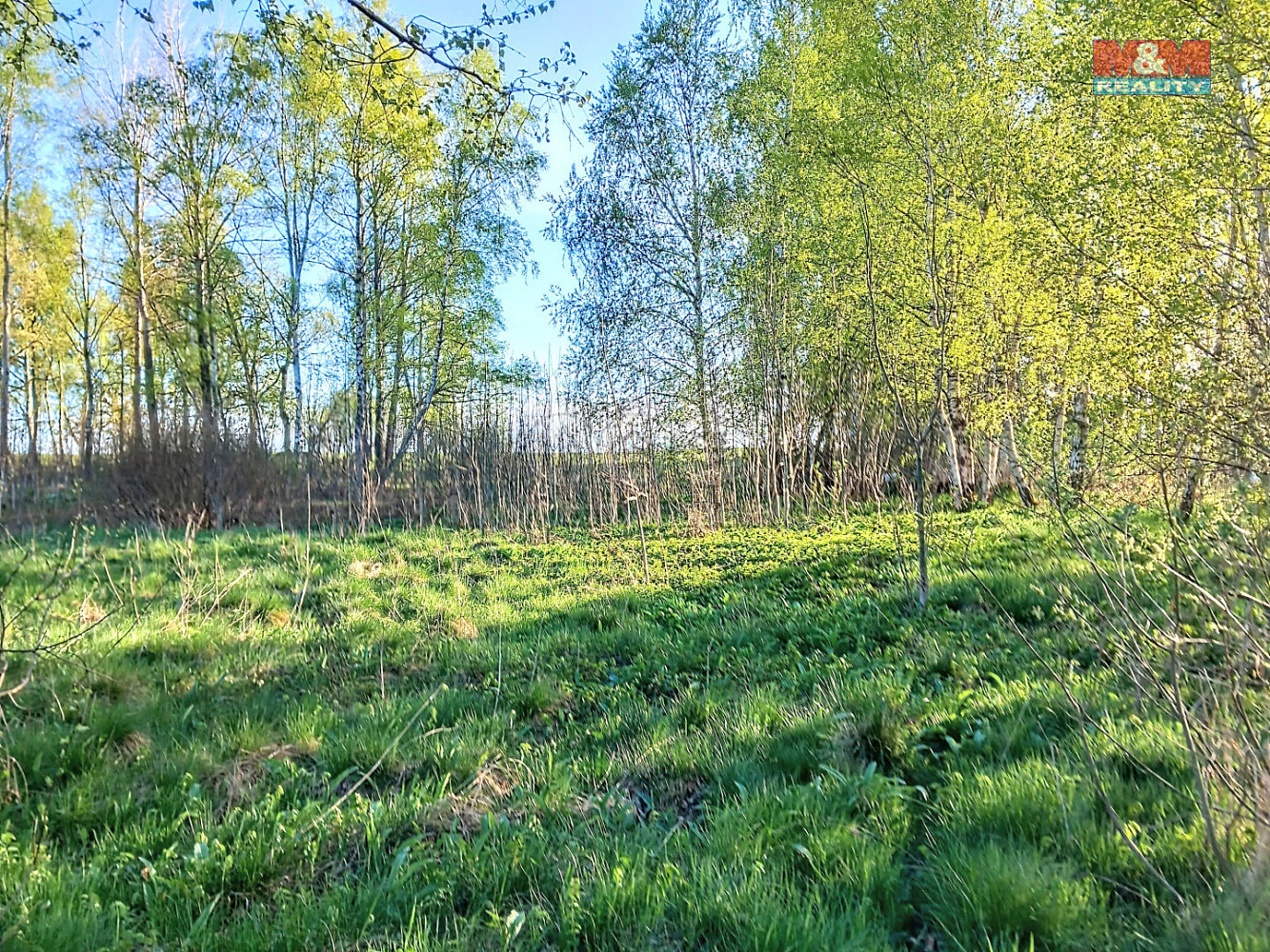 Prodej stavebního pozemku 2 966 m² — photo 3