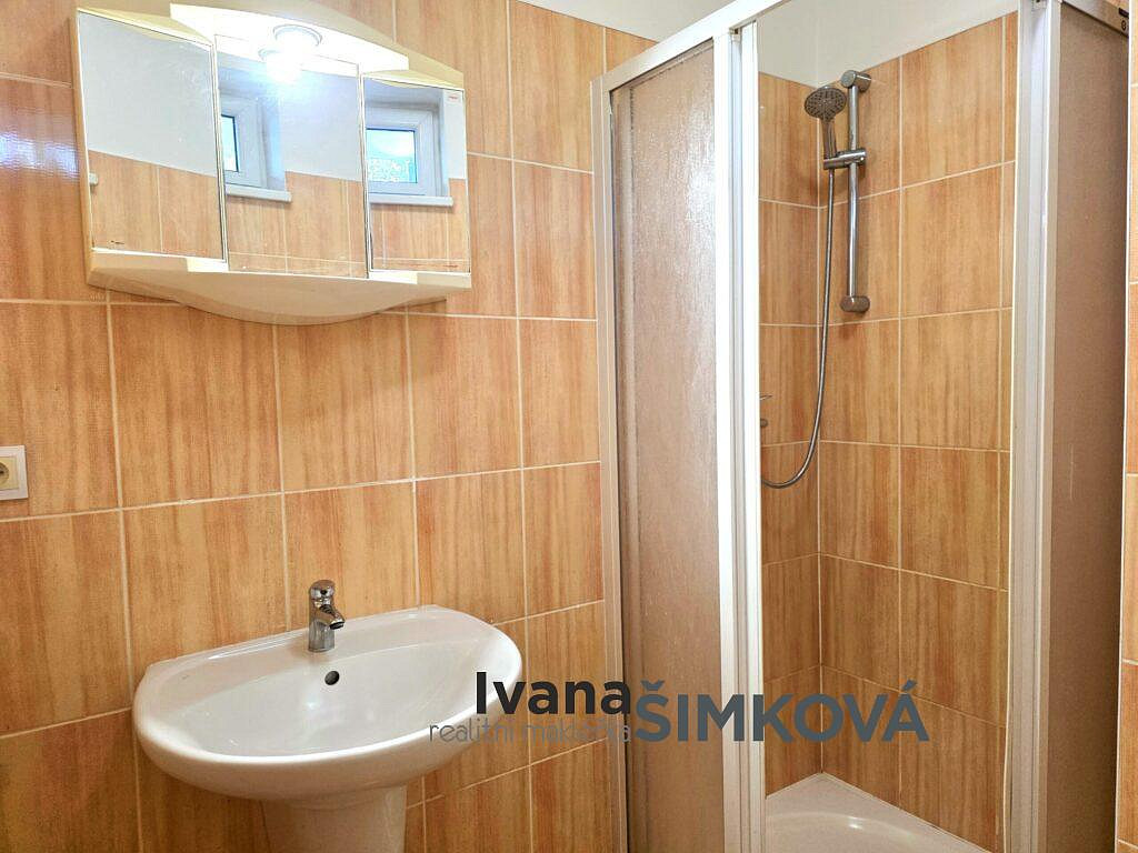 Pronájem bytu 1+kk 32 m² — photo 5