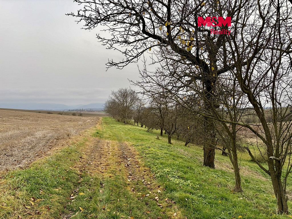 Prodej zahrady 901 m²