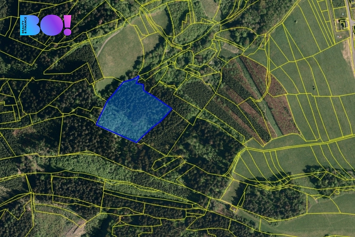 Prodej lesa 14 596 m²