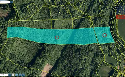 Prodej lesa 48 718 m², Lichnov, okres Nový Jičín