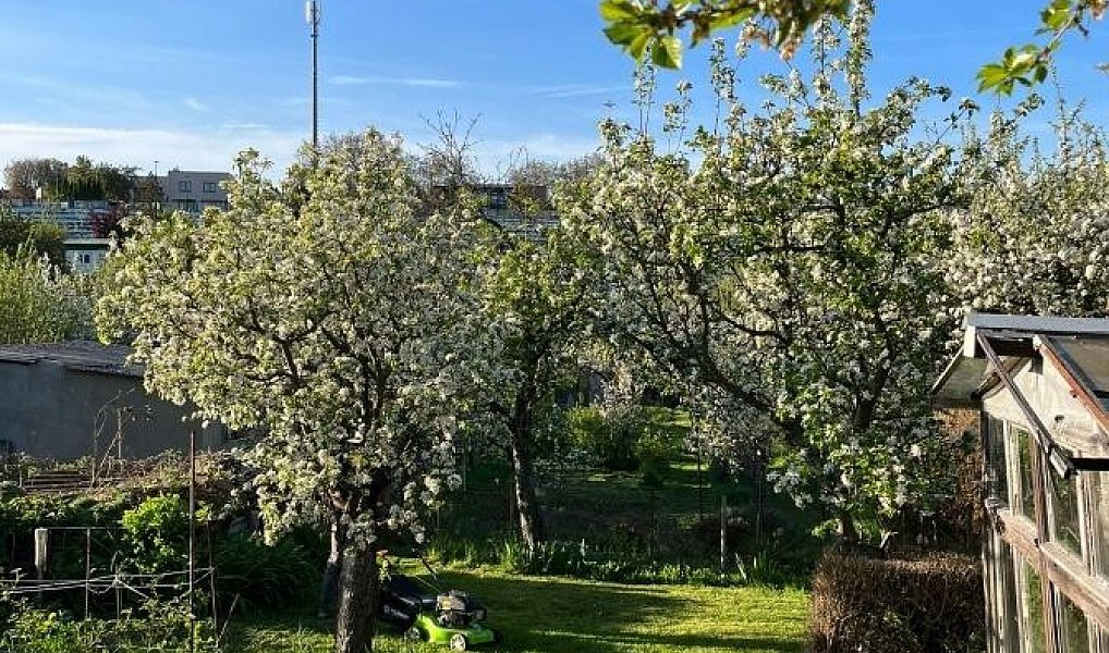 Prodej chaty/chalupy 14 m² s pozemkem 598 m², Kladno – náhled fotky 22