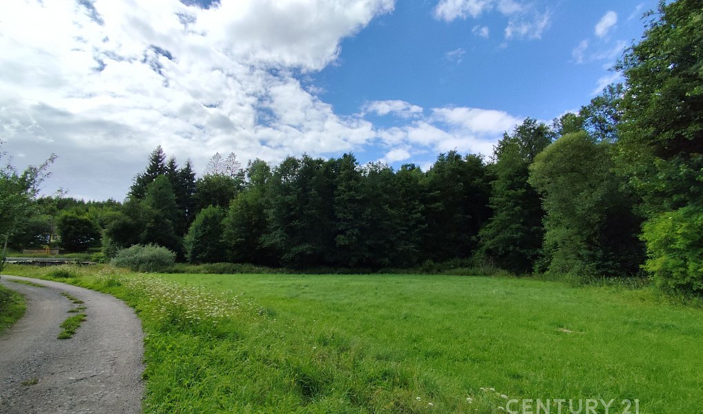 Prodej zahrady 4 886 m², Včelnička – náhled fotky 7