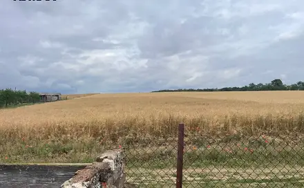Prodej stavebního pozemku 1 675 m², Nové Syrovice, okres Třebíč