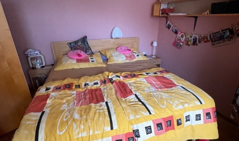 Prodej domu 177 m² s pozemkem 379 m², Nové Syrovice – náhled fotky 22