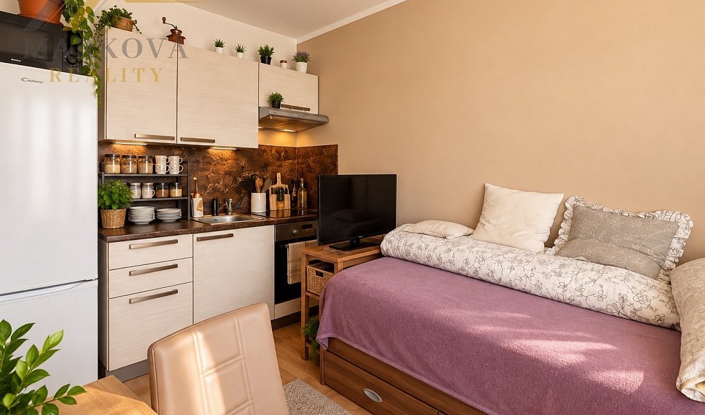 Prodej bytu 1+kk 23 m², České Budějovice – náhled fotky 4