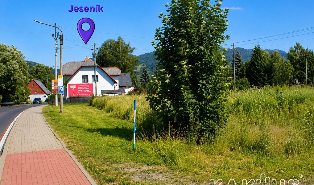 Prodej stavebního pozemku 4 487 m², Jeseník – náhled fotky 3
