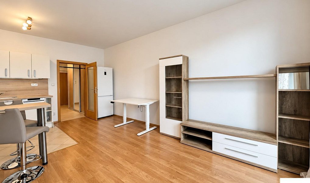 Pronájem bytu 1+kk 35 m², Praha – náhled fotky 3