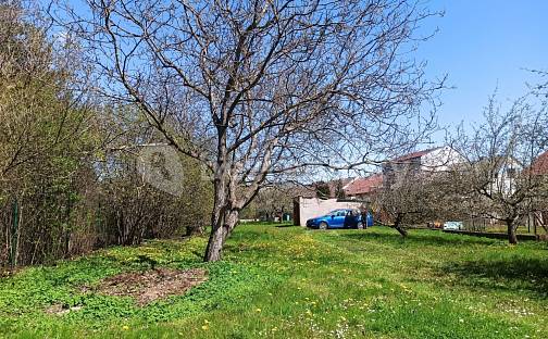 Prodej zahrady 800 m², Hradec Králové - Pražské Předměstí