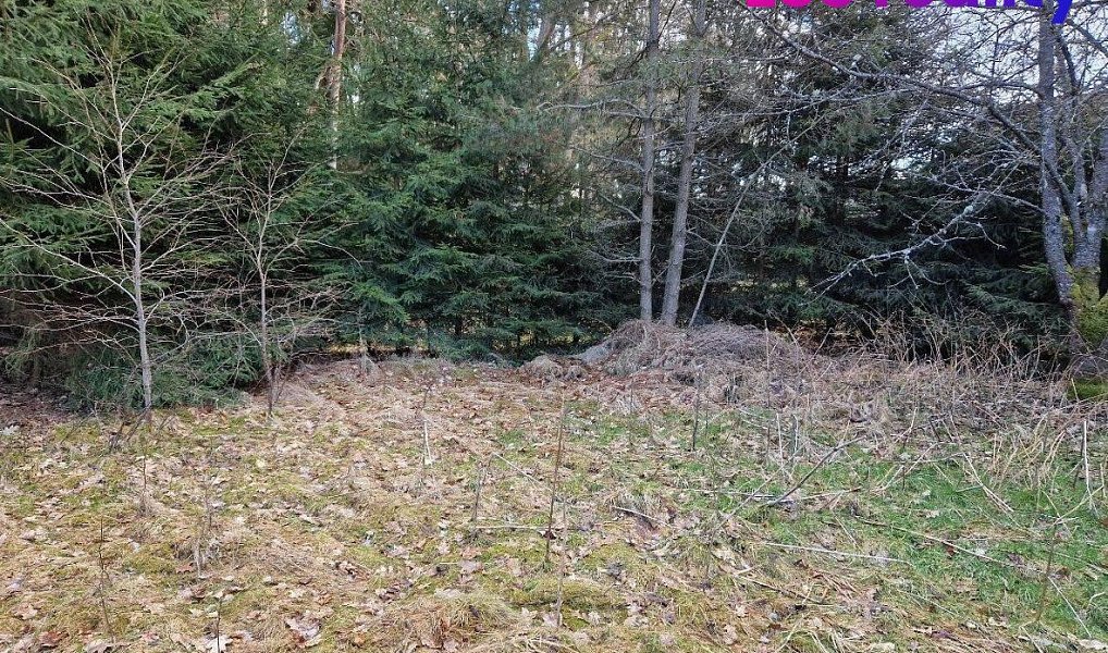 Prodej stavebního pozemku 665 m², Staňkov – náhled fotky 2