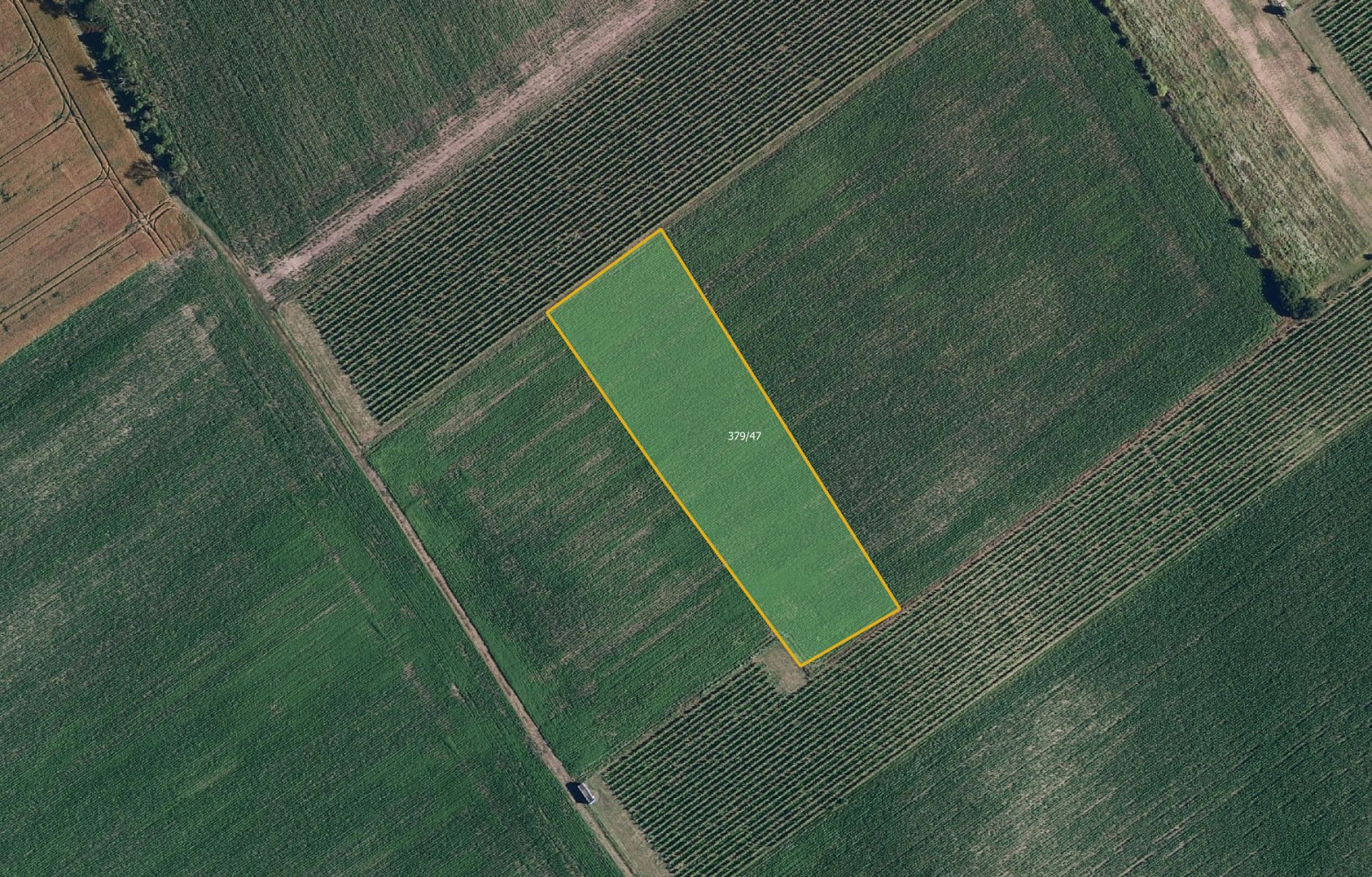 Prodej pole 6 317 m²
