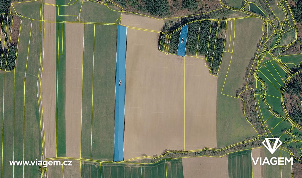 Prodej pole 3 183 m², Chotoviny – náhled fotky 4