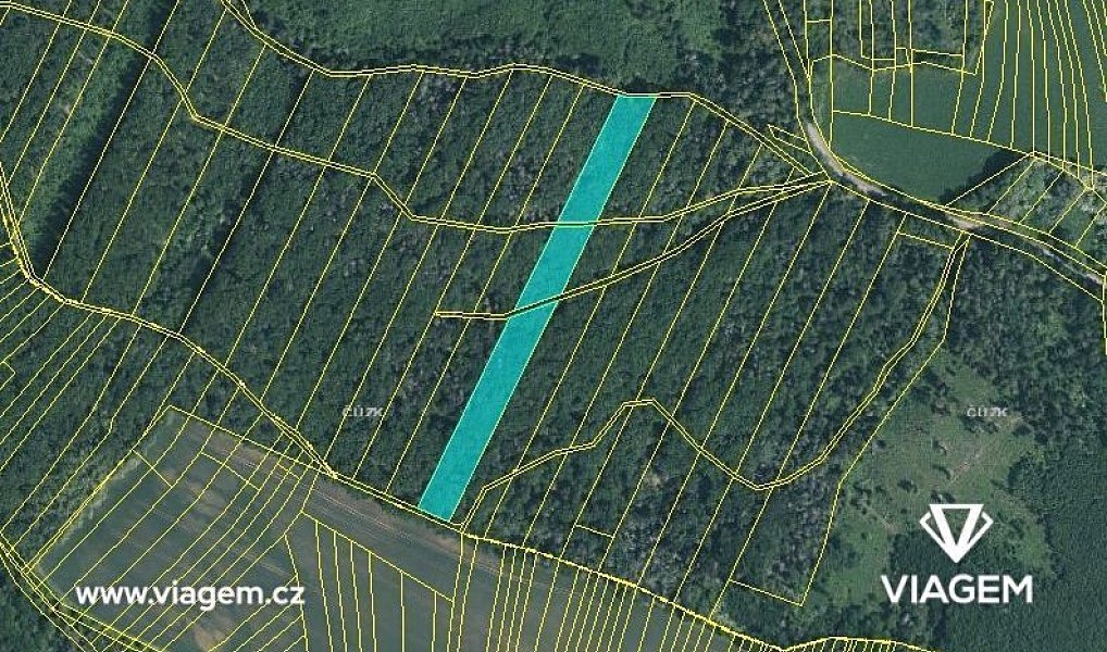 Prodej lesa 1 259 m², Prštice – náhled fotky 3