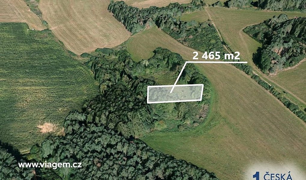 Prodej lesa 1 232 m², Chanovice – náhled fotky 2