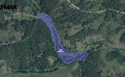 Prodej pole 26 743 m², Planá, okres Tachov