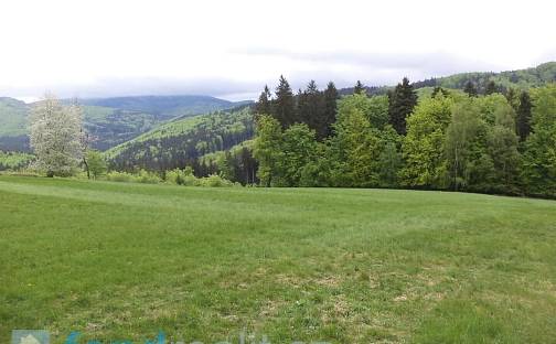 Prodej pole 24 218 m²