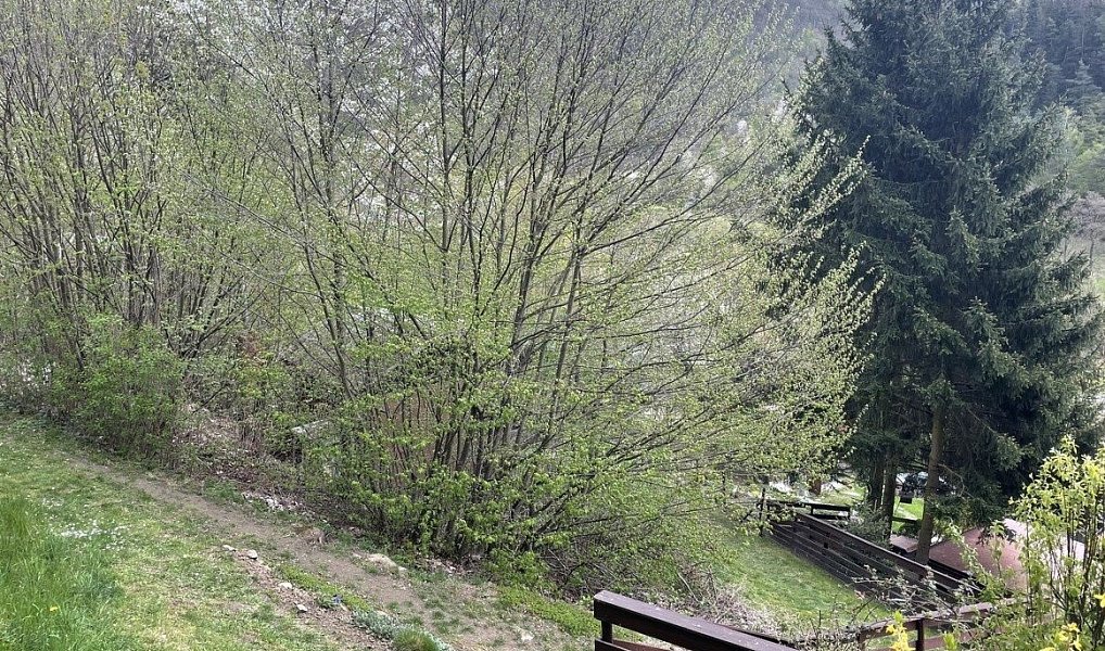 Prodej zahrady 259 m², Doubravník – náhled fotky 5