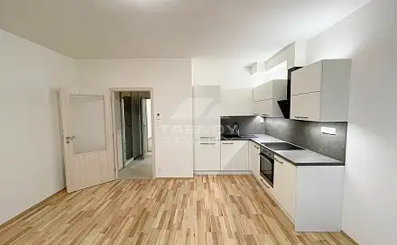 Pronájem bytu 1+kk 29 m², Nemocniční, Plzeň - Jižní Předměstí