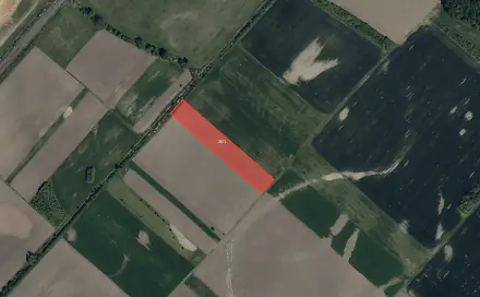 Prodej pole 15 394 m², Domanín, okres Hodonín