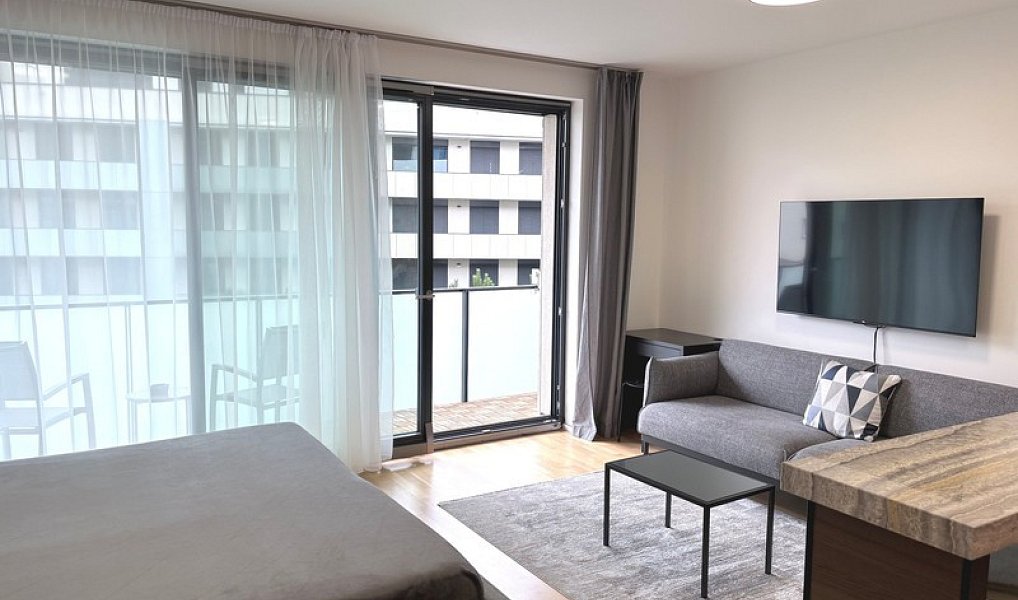 Pronájem bytu 1+kk 45 m², Praha – náhled fotky 4