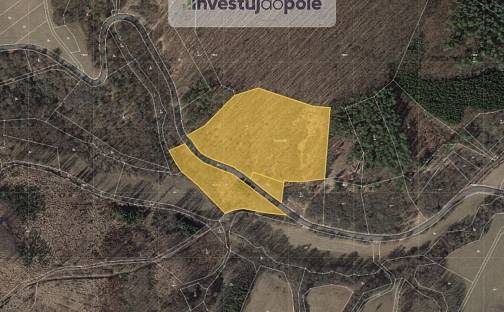 Prodej lesa 29 768 m², Bojkovice - Přečkovice, okres Uherské Hradiště