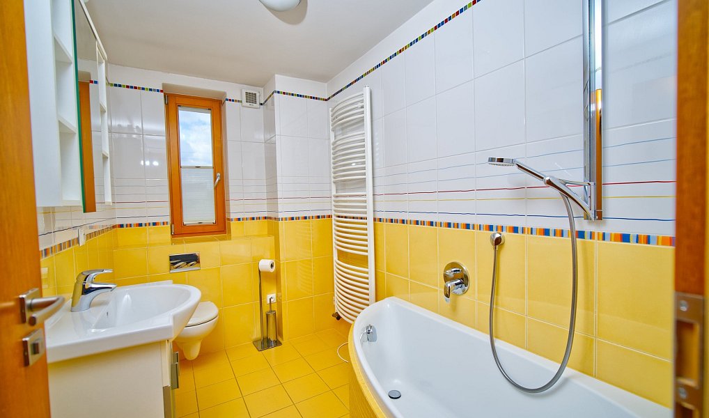 Prodej domu 376 m² s pozemkem 2 273 m², Syrovice – náhled fotky 21