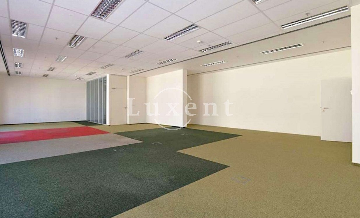 Pronájem kanceláře 241 m² – fotografie 3