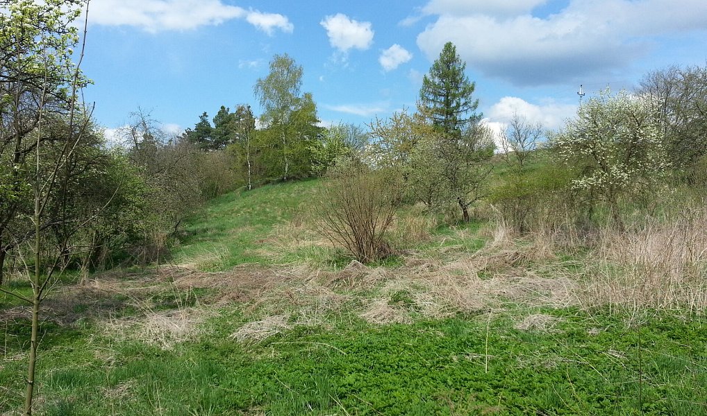 Prodej stavebního pozemku 4 736 m², Sedlčany – náhled fotky 5