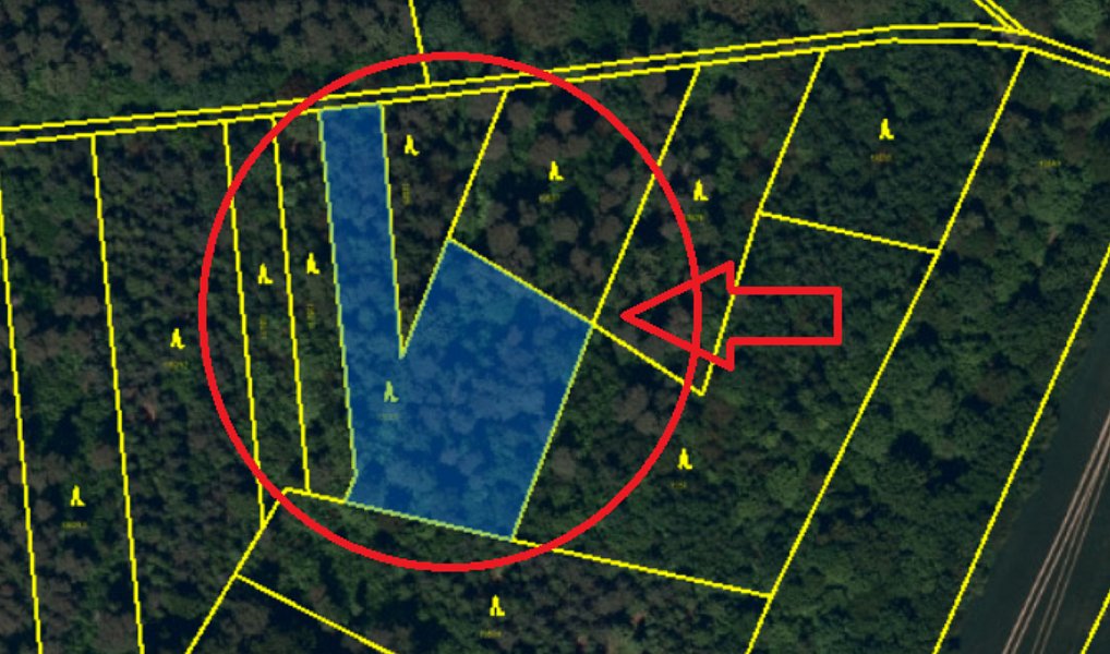 Prodej lesa 3 922 m², Velká Polom – náhled fotky 8