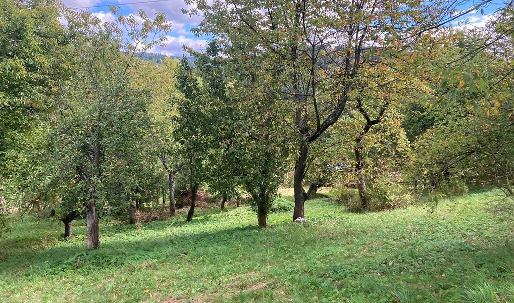 Prodej stavebního pozemku 1 132 m², Plavy – náhled fotky 4