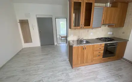 Pronájem bytu 1+1 35 m², Palackého, Dobřany, okres Plzeň-Jih