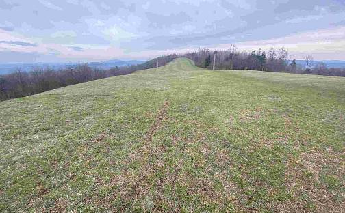 Prodej pole 22 044 m², Mírová pod Kozákovem, okres Semily