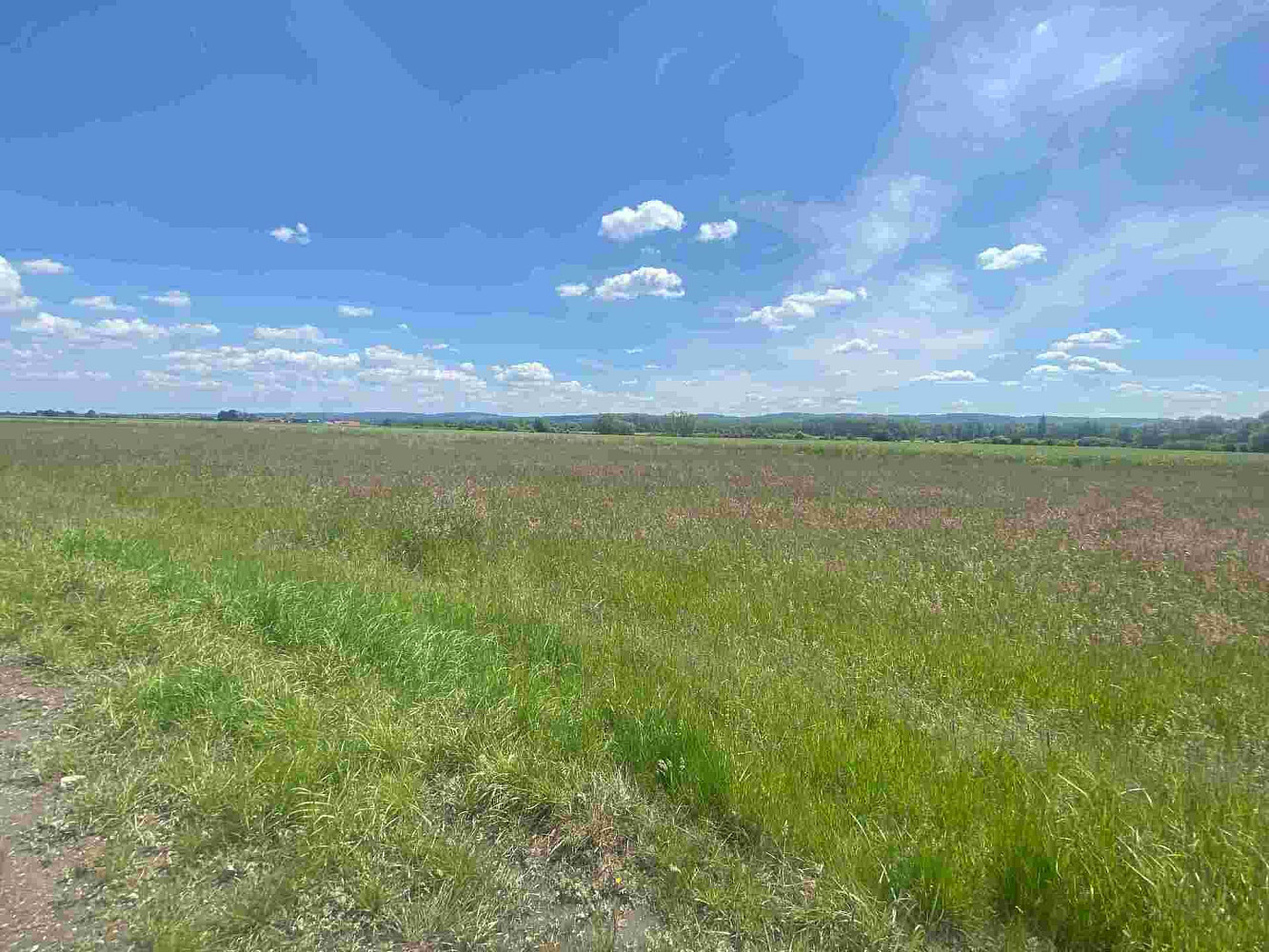 Prodej pozemku 2 873 m² – fotografie 2