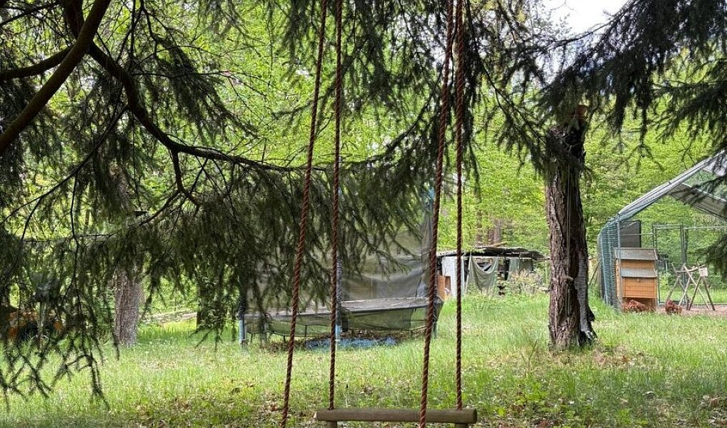 Prodej chaty/chalupy 25 m² s pozemkem 225 m², Kaliště – náhled fotky 12