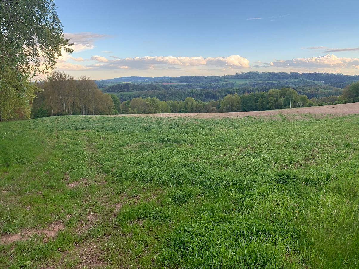 Prodej pole 8 971 m²