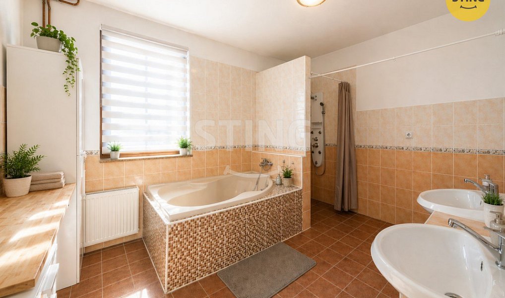 Prodej domu 197 m² s pozemkem 4 419 m², Pražmo – náhled fotky 16