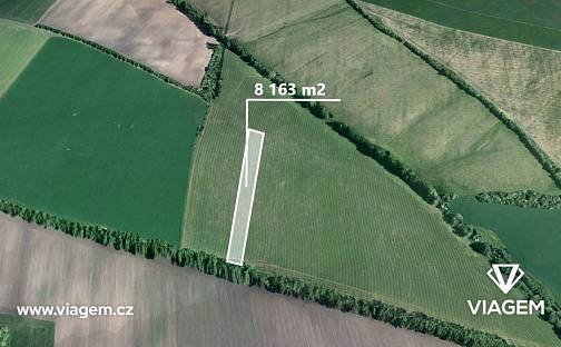 Prodej pole 8 163 m², Šumice, okres Uherské Hradiště