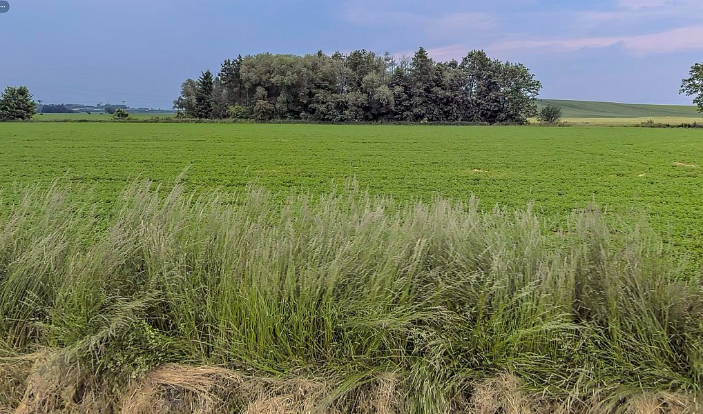 Prodej stavebního pozemku 800 m², Dolany – náhled fotky 3
