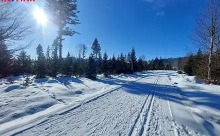 Prodej bytu 1+kk 38 m², Haidmühle, Dolní Bavorsko, Německo