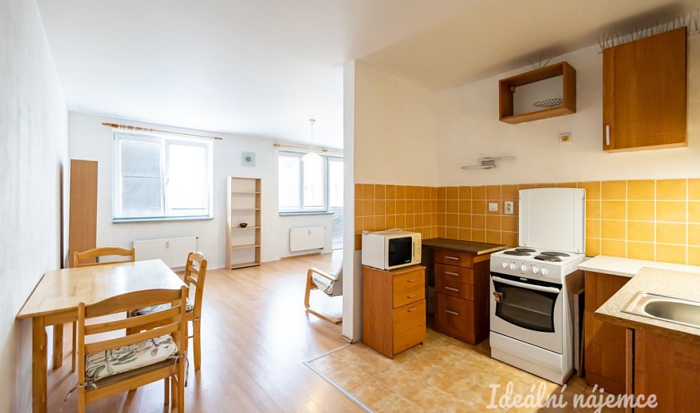 Pronájem bytu 1+kk 47 m², Šestajovice – náhled fotky 4