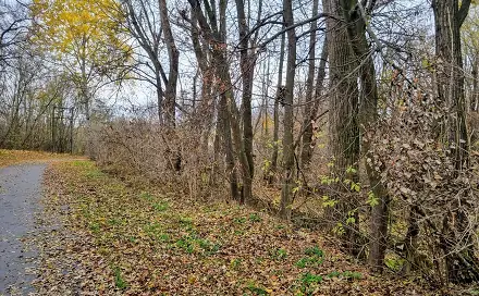 Prodej stavebního pozemku 3 392 m², Rousínov - Čechyně, okres Vyškov
