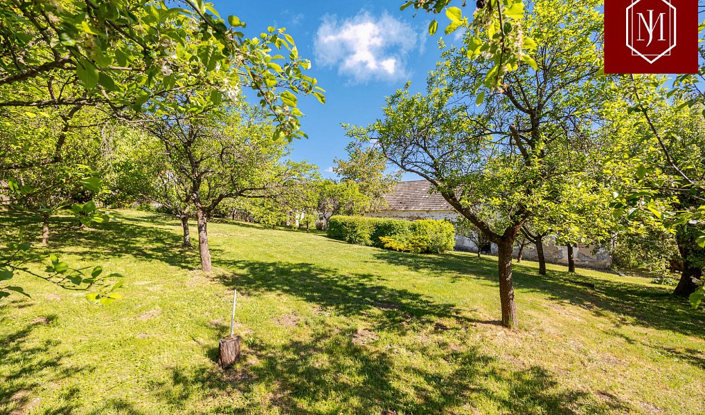 Prodej chaty/chalupy 269 m² s pozemkem 2 309 m², Knínice – náhled fotky 8