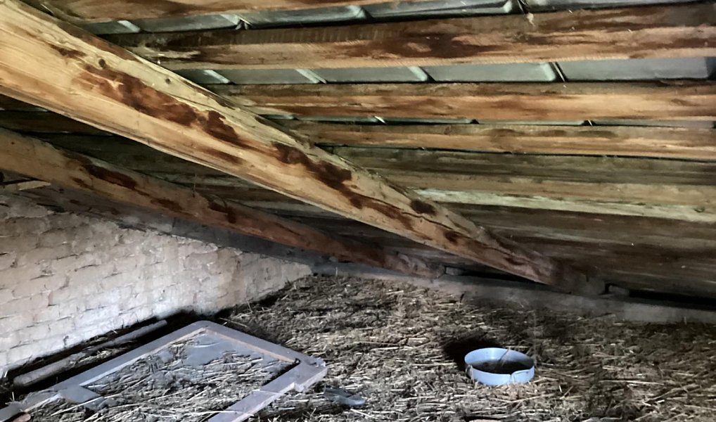 Prodej domu 80 m² s pozemkem 2 564 m², Laškov – náhled fotky 19