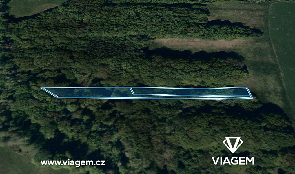 Prodej lesa 1 100 m², Velký Ořechov – náhled fotky 2