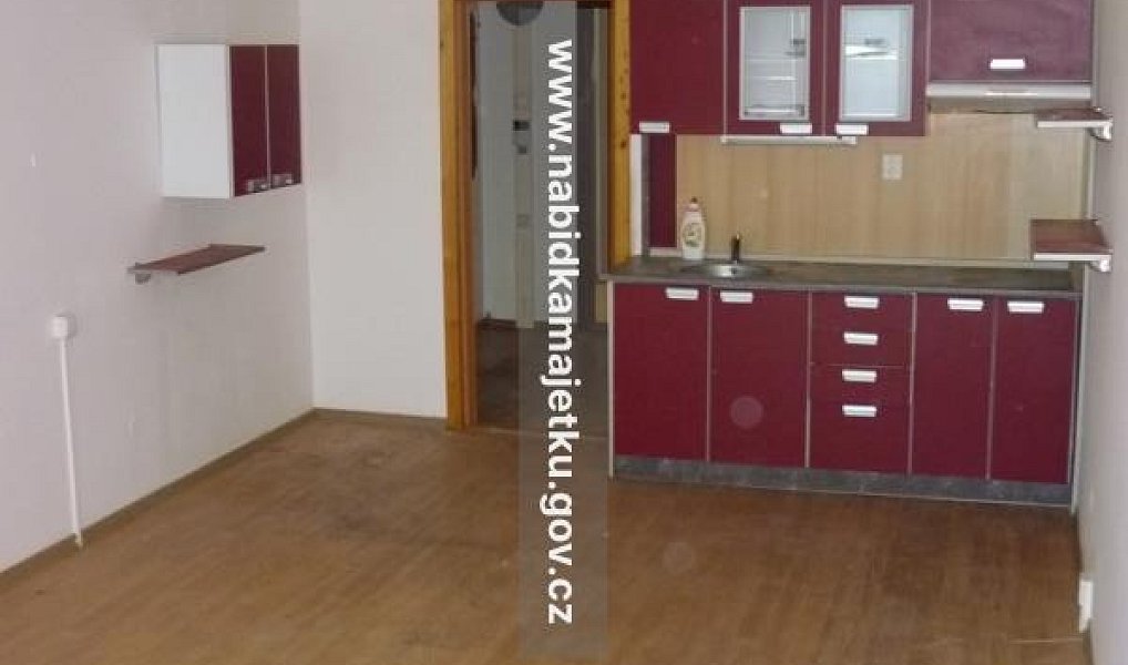Pronájem bytu 1+kk 31 m², České Budějovice – náhled fotky 6