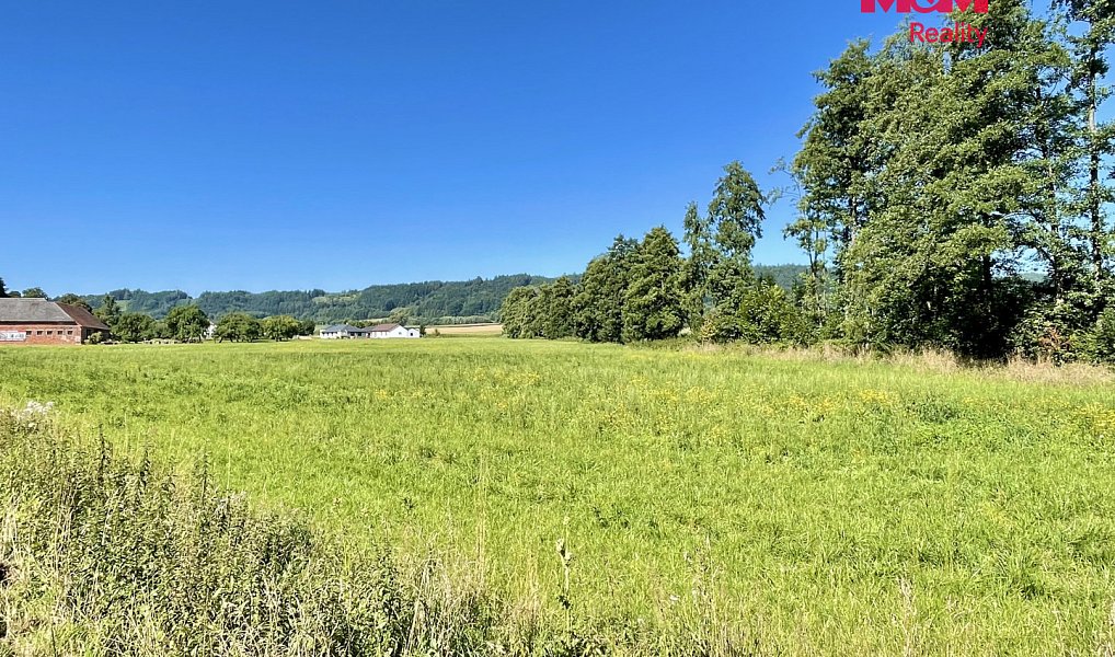 Prodej stavebního pozemku 5 033 m², Damníkov – náhled fotky 5