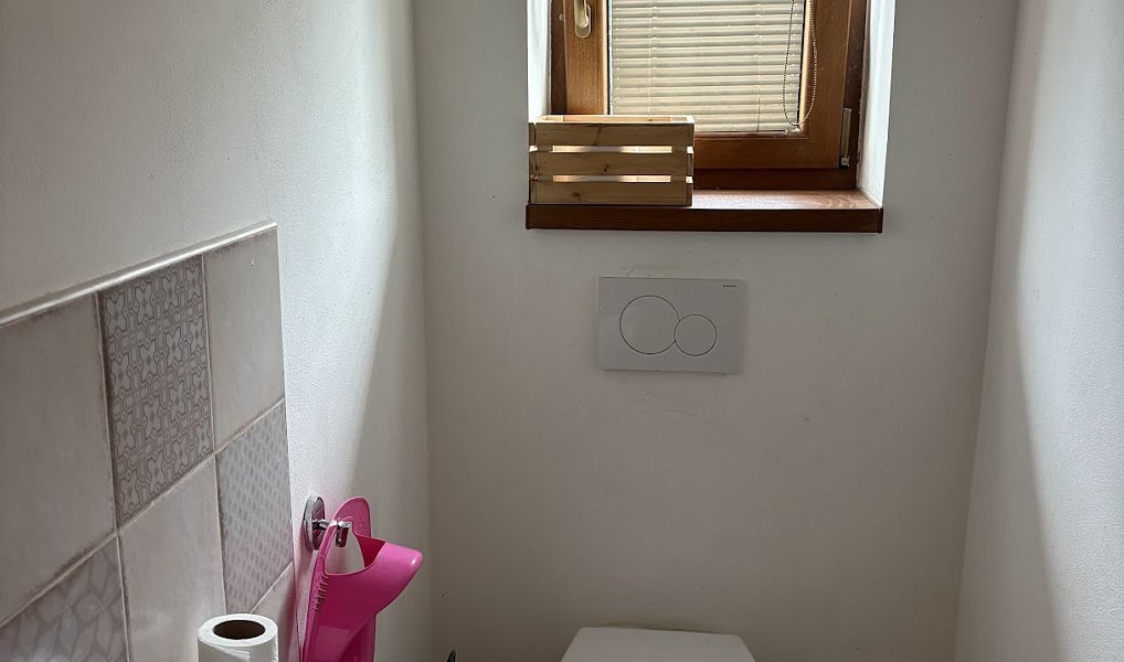 Prodej domu 297 m² s pozemkem 12 610 m², Sobotka – náhled fotky 29