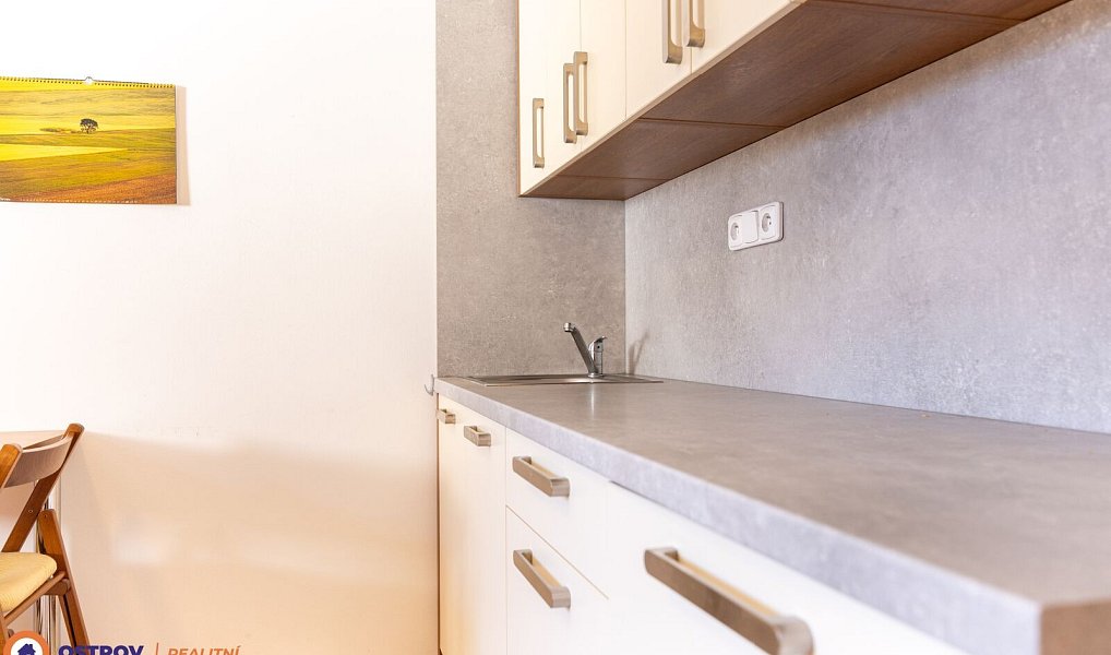 Pronájem bytu 1+kk 21 m², Loučná nad Desnou – náhled fotky 9