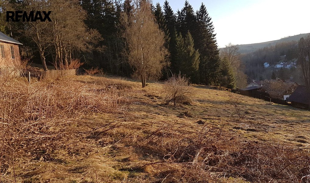 Prodej stavebního pozemku 4 558 m², Kraslice – náhled fotky 12