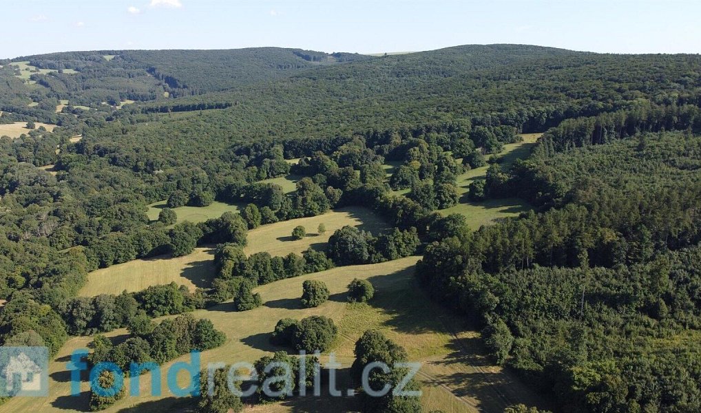 Prodej pozemku 3 636 m², Tvarožná Lhota – náhled fotky 5